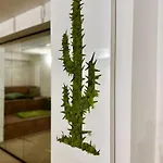 Coliving Napoleon Iii * Ajaccio (Corsica)
