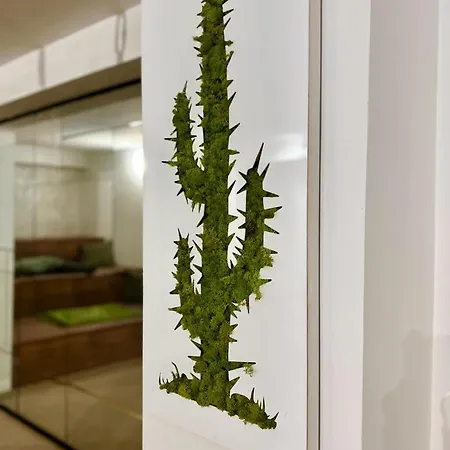 Coliving Napoleon Iii * Ajaccio (Corsica)