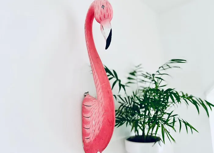 Coliving Napoleon Iii *