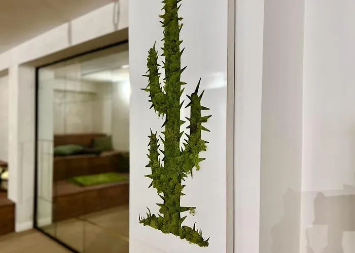 Coliving Napoleon Iii * Ajaccio (Corsica)